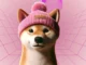 Breakout Alert! Dogwifhat (WIF) Poised For 35% Rally