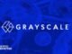 Grayscale lists HYPE, VIRTUAL, ENA, JUP among high potential tokens for Q1 2025