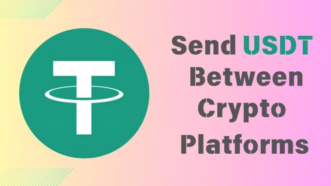 How To Send USDT Between Crypto Platforms: Step-by-Step Guide