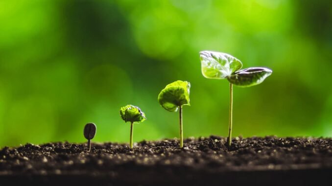 This is How Much Crypto Users Grew in 2024, According This is How Much Crypto Users Grew in 2024, According to Flipside’s On-Chain Analysis