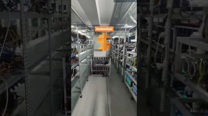 CRYPTO MINING !!!! FROM BULGARIA #crypto #shorts #bitcoin #money #mining #ethereum #dogecoin