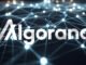 Algorand Foundation wants DOGE to adopt its blockchain for government overhaul