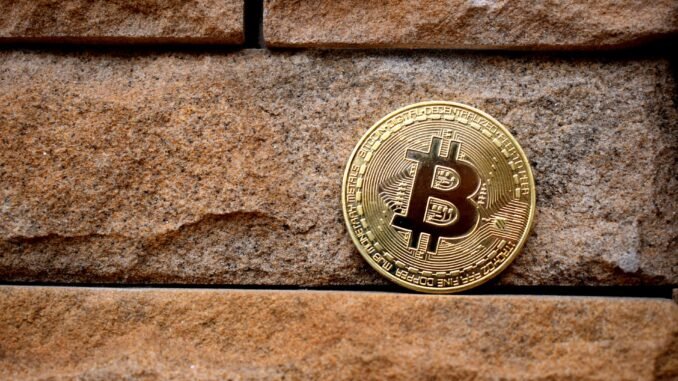 Semler Scientific Snaps Up 871 Bitcoin, While MicroStrategy Temporarily Halts bitcoin