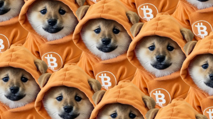 Why Bitcoin's Biggest Meme Coin Just Bridged Over to Solana