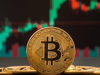 Bitcoin ETF investors hold strong despite a 25% BTC price drop: Here's why