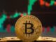 Bitcoin ETF investors hold strong despite a 25% BTC price drop: Here's why