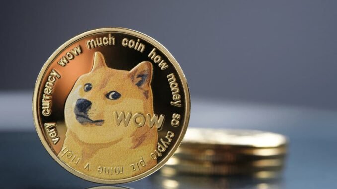 Here's When Dogecoin (DOGE) Can Skyrocket to $1.1: Analyst Explains