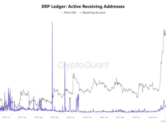 XRP Ledger Active Receiving Addresses