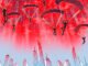 10 Red Flags of a Fake Crypto Airdrop (And How to Avoid Them)