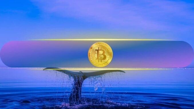 Crypto Whale Wynn Quits After Scoring $25M from $1.25B Bitcoin Crypto Whale Wynn Quits After Scoring $25M from $1.25B Bitcoin Bet