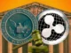 Will XRP Skyrocket to $5 After Ripple Lawsuit Decision Today? Legal Expert Says 'Don't Hope..'