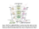 This AI Paper Introduces WINGS: A Dual-Learner Architecture to Prevent Text-Only Forgetting in Multimodal Large Language Models