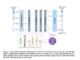 University of Michigan Researchers Propose G-ACT: A Scalable Machine Learning Framework to Steer Programming Language Bias in LLMs